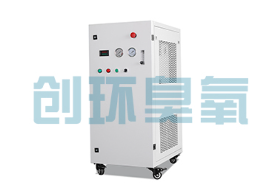 丰润石斑鱼养殖水质调控完整指南:臭氧发生器配置与操作步骤