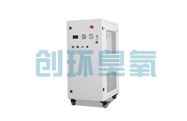 丰润比传统换水更高效?臭氧发生器在石斑鱼养殖中的水质净化原理解析