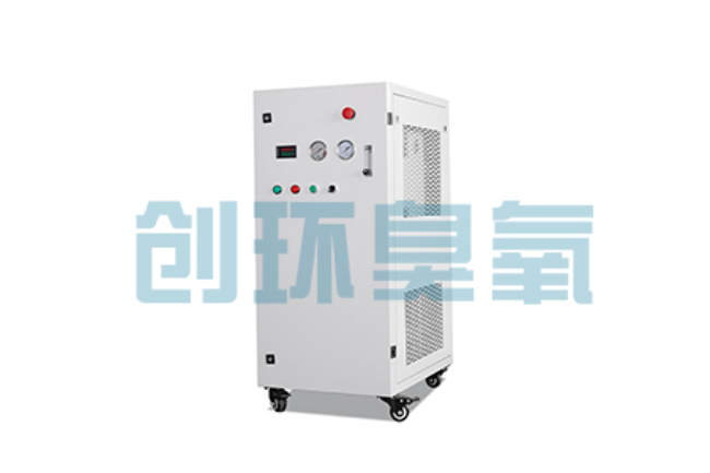 丰润比传统换水更高效?臭氧发生器在石斑鱼养殖中的水质净化原理解析